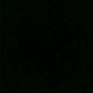 🍫🎤吉良-カブトムシ-aiko