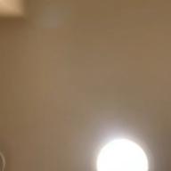 gocchi-HAPPY BIRTHDAY-back number