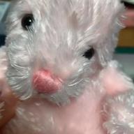 RiLiKa-んなわけないけど-ナナヲアカリ