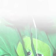 🐶犬丸🐾@高校生有名になりたい-金曜日のおはよう-Gero