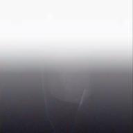 蓮(はす)-紅蓮華-LiSA