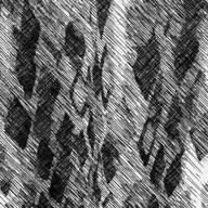 leon_raven-美しきもの-Sound Horizon