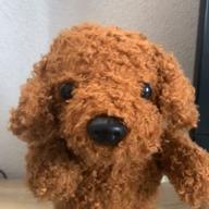 むっちりしーずー-歌に形はないけれど-doriko