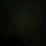 🐾充電中✨-樹海の糸-Cocco