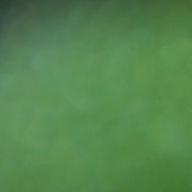 HIKARI-バクチ・ダンサー-DOES