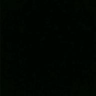 風黎愛@猫-繰り返し一粒-猫虫