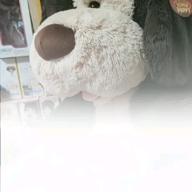 たっしー-adrenaline!!!-TrySail