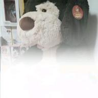 たっしー-SAKURA-いきものがかり