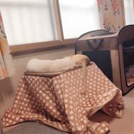 AMIpan-愛のうた-倖田來未