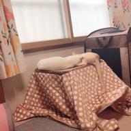 AMIpan-CAROLS-浜崎あゆみ