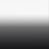 れいぽん-カブトムシ-aiko