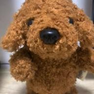 むっちりしーずー-金魚花火-大塚 愛