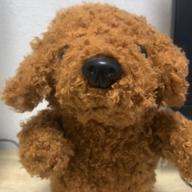 むっちりしーずー-to Mother-YUI