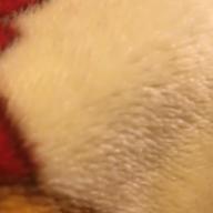 めめちゃん-CRAZY FOR YOU-Kylee