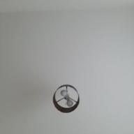 anemone-Swallowtail Butterfly ～あいのうた～-YEN TOWN BAND