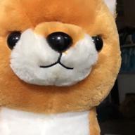 ワンダボ-ノンフィクション-平井堅