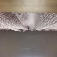 礼@みらふぁみ-紅蓮華-LiSA