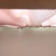 礼@みらふぁみ-インビジブル-kemu