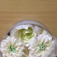 mint-君の知らない物語-supercell