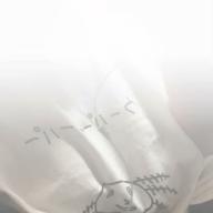 かなりあ-茜さす-Aimer