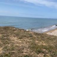 jinkazama-イエス-Acid Black Cherry