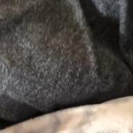 チョッパー-I LOVE...-Official髭男dism