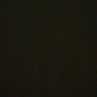 ヒメカツオブシムシ-わたしの命を抉ってみせて-神様、僕は気づいてしまった