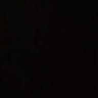 ヒメカツオブシムシ-Strawberry Trapper-Guilty Kiss