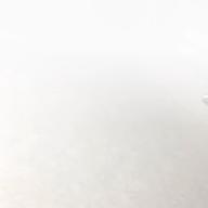 EVALO-オレンジ-トーマ