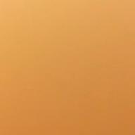 ヒメカツオブシムシ-旅の途中-清浦夏実