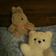 yukimisa-迷い道-渡辺真知子