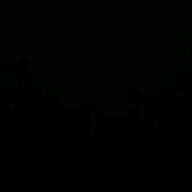 あつっしー-涙そうそう-BEGIN