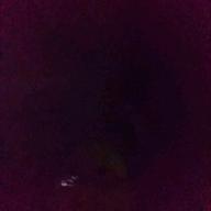 銀ちゃん-逢いたくてしかたない-郷ひろみ