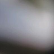 ぽこぴる。-夜に駆ける-YOASOBI