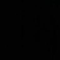 けいたちゃん-さすらい-奥田民生