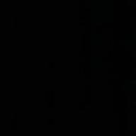 ✴︎ 楓 ✴︎-紅蓮華-LiSA