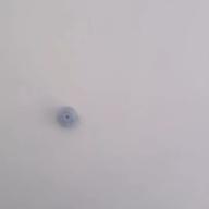 ゴリ子ちゃん-紅蓮華-LiSA