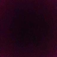 銀ちゃん-サヨナラCOLOR-SUPER BUTTER DOG