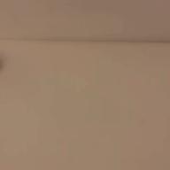 みみこたそ-月光花-Janne Da Arc