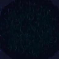 まねきねこ-ごめんね…-高橋真梨子