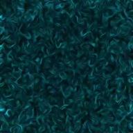 悠々遊人☆-ロマンス-PENICILLIN