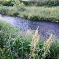 美空　涼-恋人ごっこ-マカロニえんぴつ