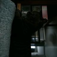 yasu-Jupiter-平原綾香