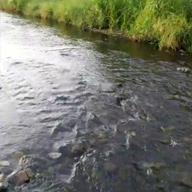 美空　涼-ハルノヒ-あいみょん