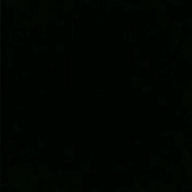 🐲🐉たかちゃん！🐉🐲-抱きしめてTONIGHT-田原俊彦