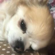 つかもっち-会いたいよ-手塚翔太