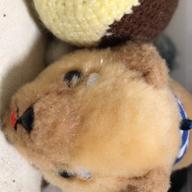 sino.ne-シャルル-バルーン