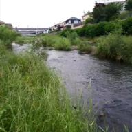 美空　涼-Walking with you-Novelbright