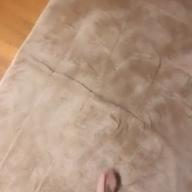 poch.-インフェルノ-Mrs. GREEN APPLE