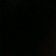 しらすごはん-瞳-aiko